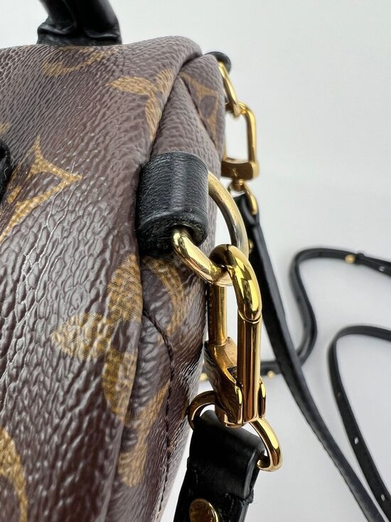 Louis Vuitton Palm Springs Mini Monogram Backpack Bag main image 15